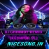 Bhola Hain Kawariya (Top To Hit Roadshow Humming Dance Mix 2024) Dj Chinmoy Remix