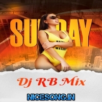 Turuk turuk ta ta ta (Purnima Rath Borman Music Speaker Check 1 Step Long Pop Humming 2025)   Dj Rb Mix   Kalagachia Se