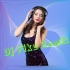 Ache Gour Nitai (Durga Puja Goutam Ghosh Mita Chatterjee Back To Cover Humbing Lion Mix 2025)   Dj Piku Remix