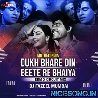 Dukh Bhare Din Beete Re Bhaiya  (EDM X Circuit Mix)  DJ Fazeel Mumbai